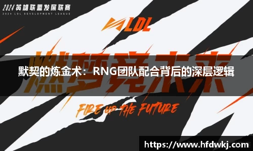默契的炼金术：RNG团队配合背后的深层逻辑